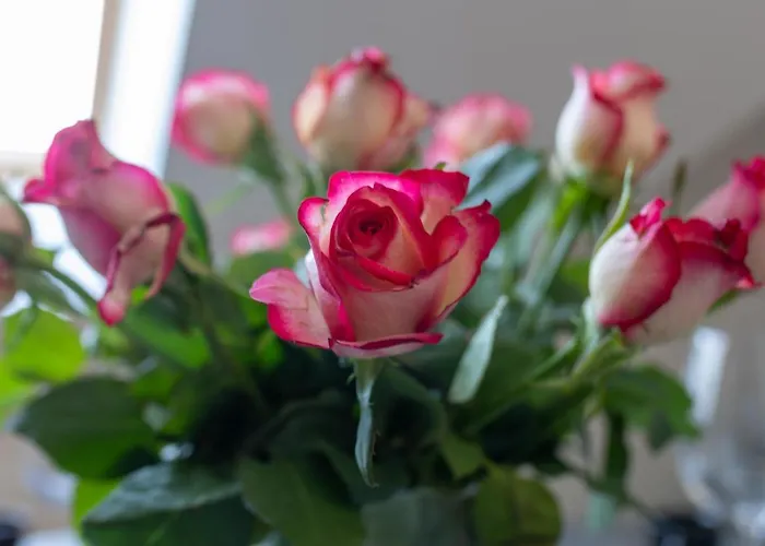 Park A27-z Dostepem Do Basenu, Sauny, Jacuzzi, Silowni *